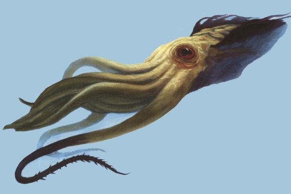 Kraken online