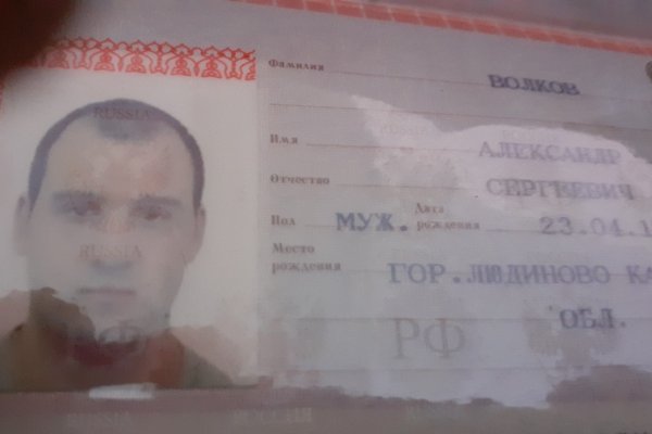 Кракен порошок